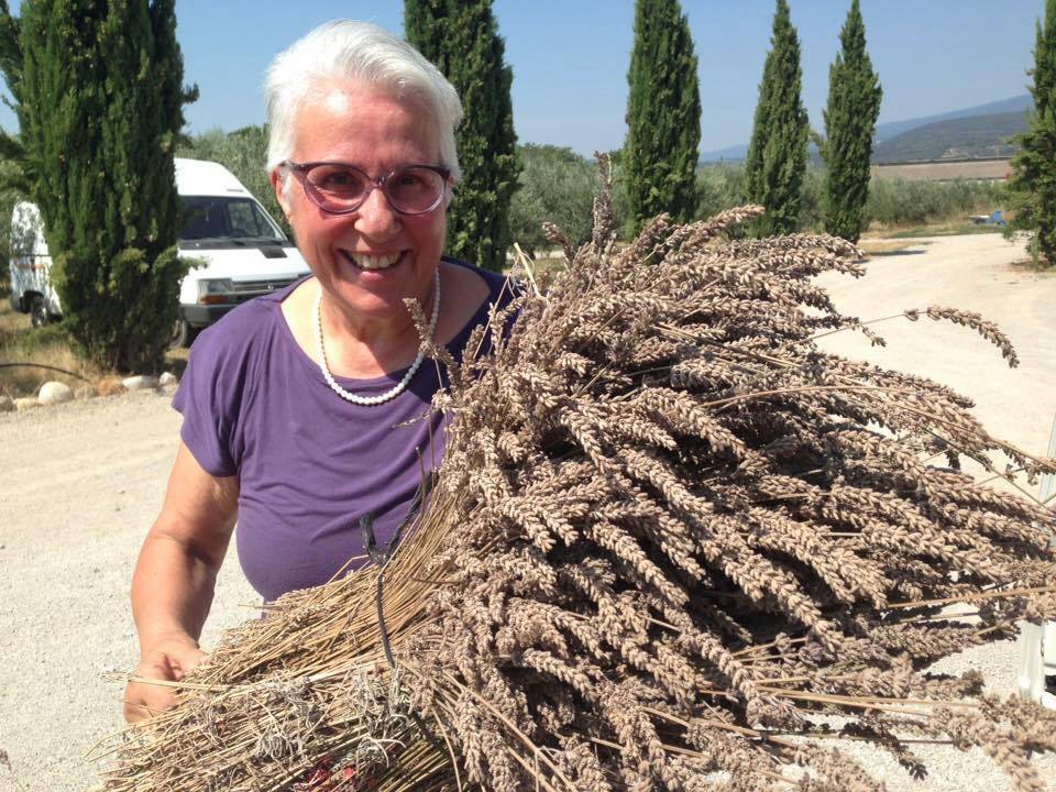 Pia Pullici