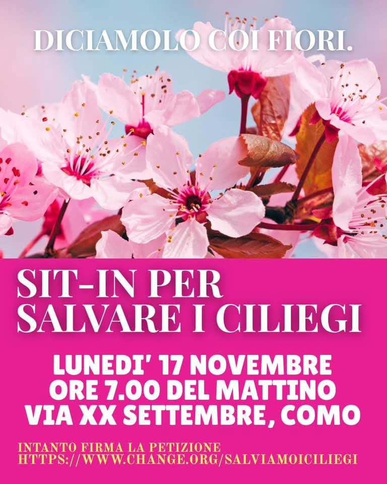 Petizione ciliegi