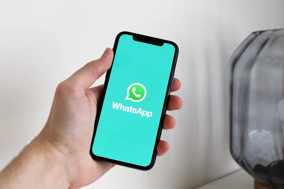 pallino verde whatsapp cosa serve